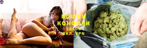 крисы Медвежьегорск