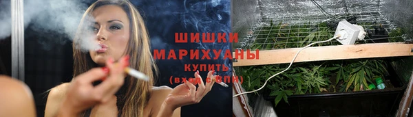 крисы Медвежьегорск