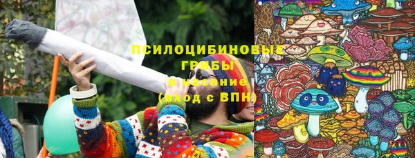 спиды Мегион