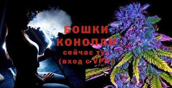 крисы Медвежьегорск
