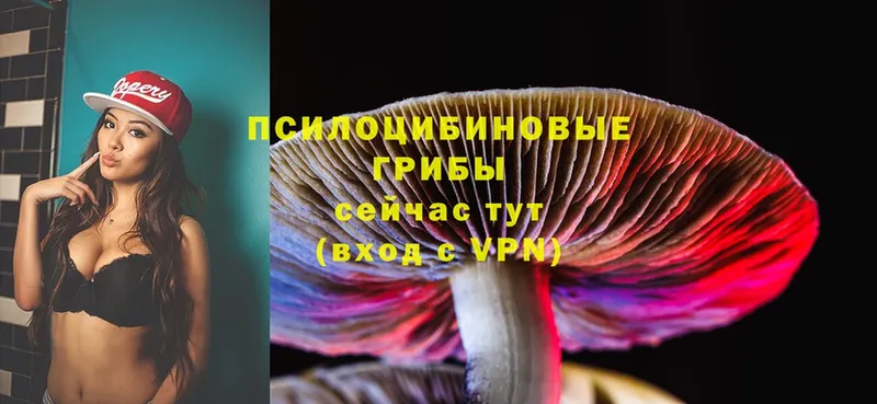 Псилоцибиновые грибы Magic Shrooms  kraken онион  Поронайск 